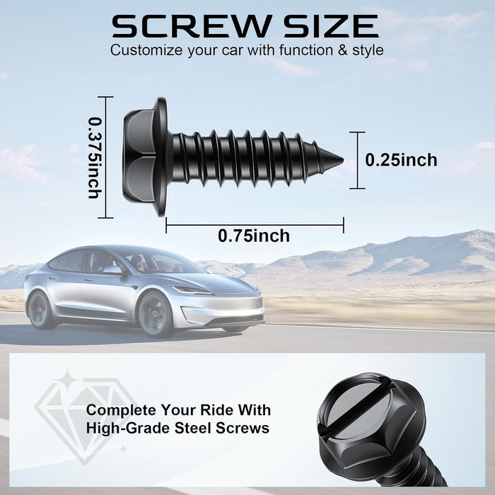 Rustproof License Plate Screws 